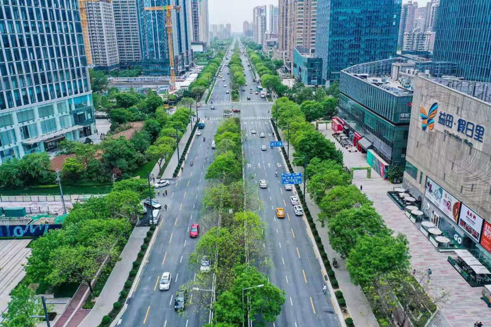 澳门49码图库